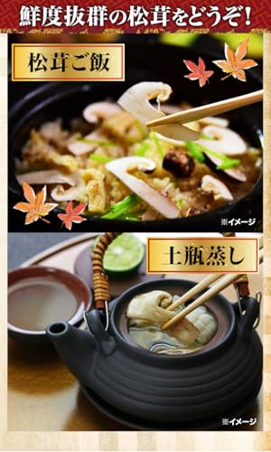  天然高級 松茸開き 6