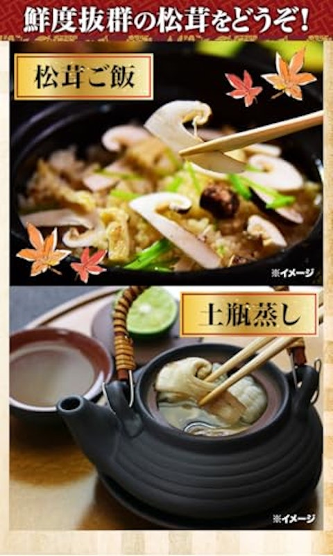 天然高級 松茸開き 6