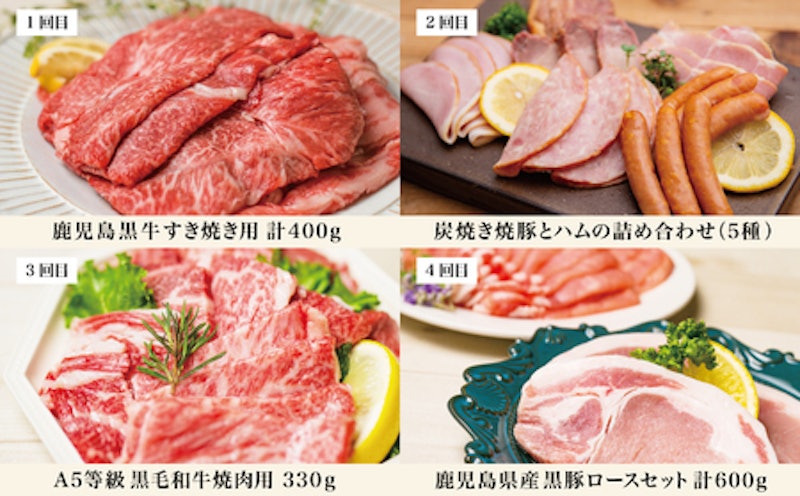 畜産王国・南さつま市のオールスター厳選お肉定期便(10回) 2