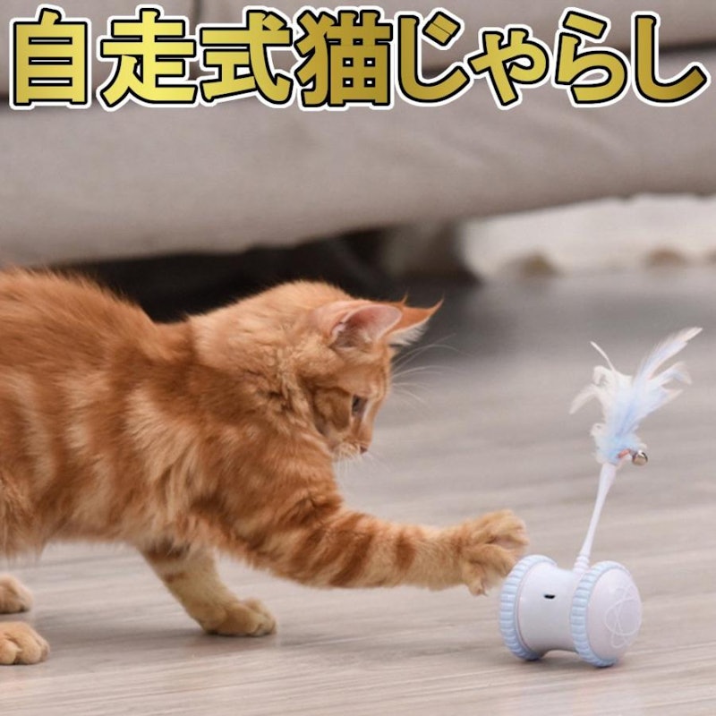 自動猫じゃらし 3