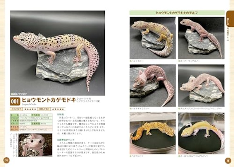 飼いたい種類が見つかる爬虫類・両生類図鑑 4