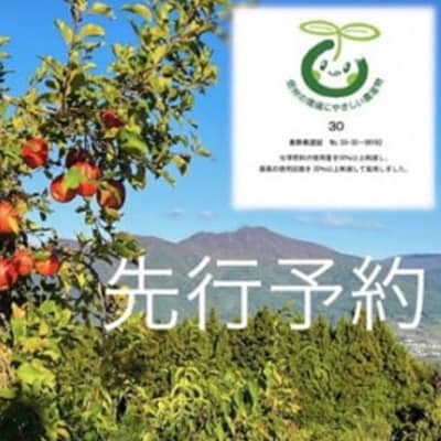 りんご シナノスイート 2