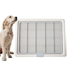 22年 大型犬用トイレのおすすめ人気ランキング24選 Mybest 22年 大型犬用トイレのおすすめ人気ランキング24選 Mybest