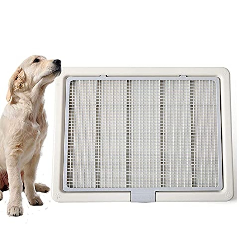 22年 大型犬用トイレのおすすめ人気ランキング24選 Mybest 22年 大型犬用トイレのおすすめ人気ランキング24選 Mybest