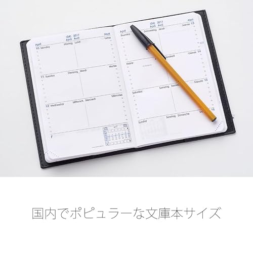 サパックス アンパラ 6