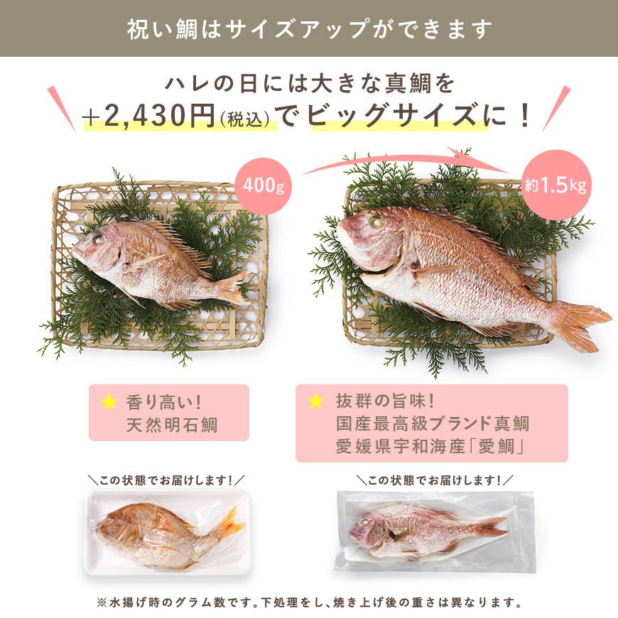 服部幸應先生監修お食い初め はじめての食育膳 14