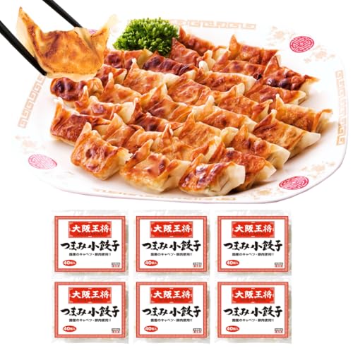つまみ小餃子 1