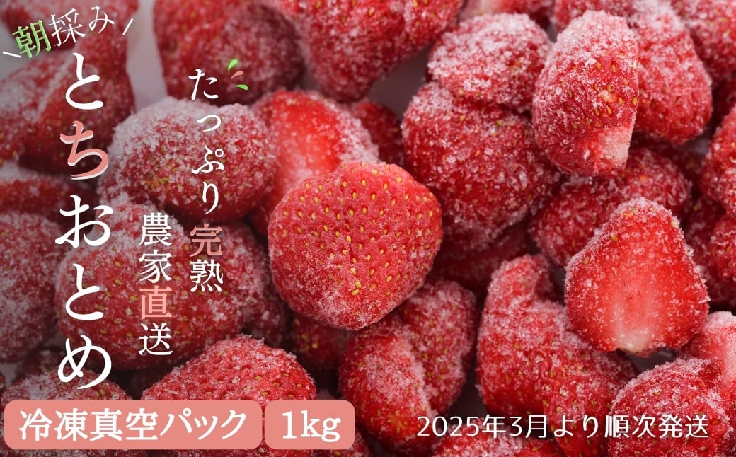 冷凍いちご とちおとめ 1