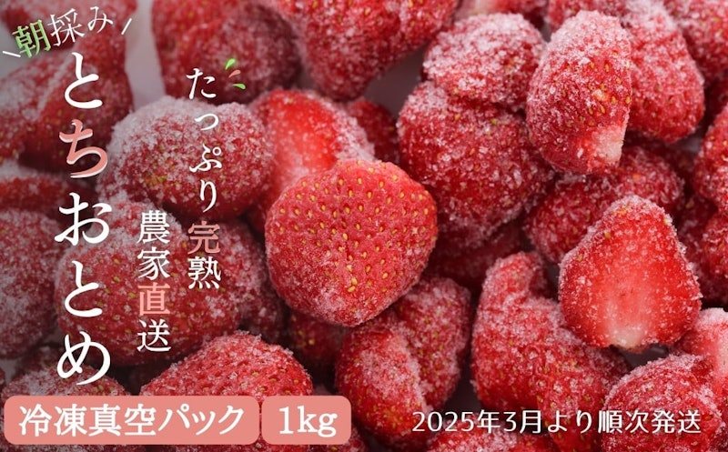 冷凍いちご とちおとめ 1