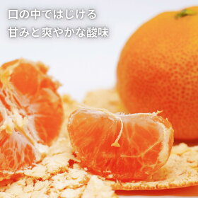 愛媛西宇和産みかん 3