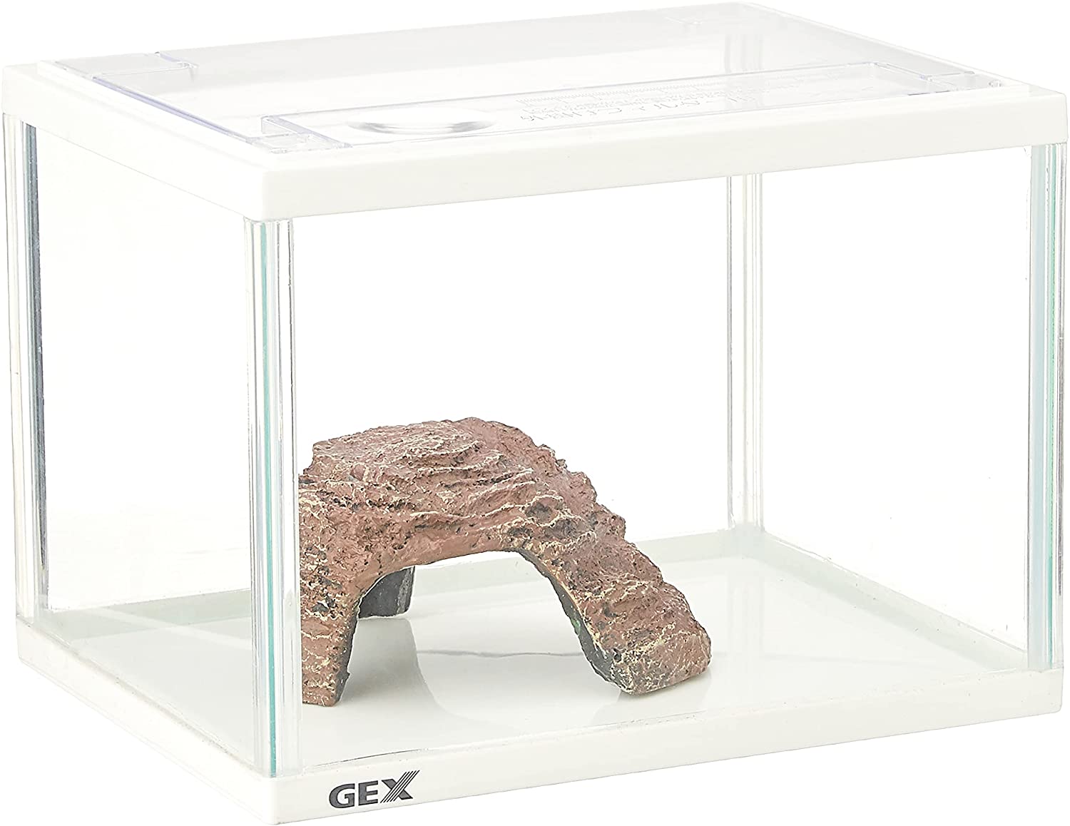 21年 亀の飼育用水槽のおすすめ人気ランキング7選 Mybest