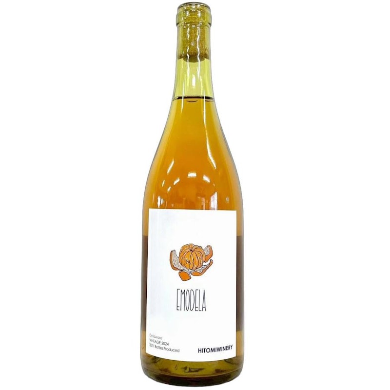 EMODELA 2024 1