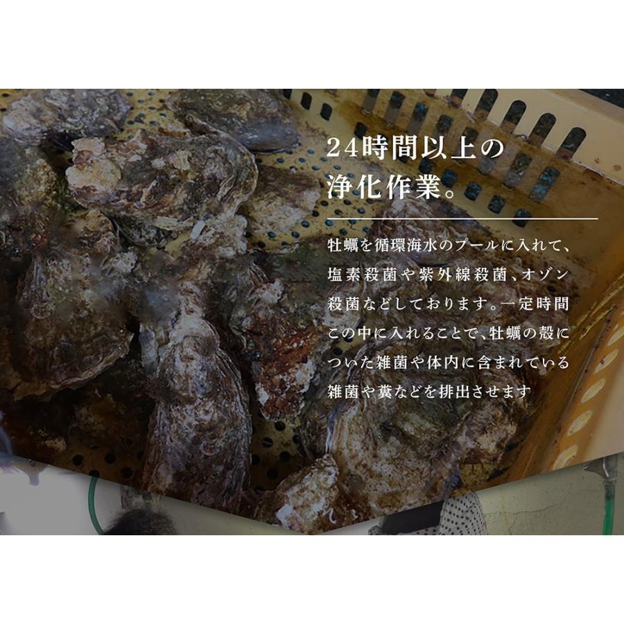  殻つき生牡蠣 9