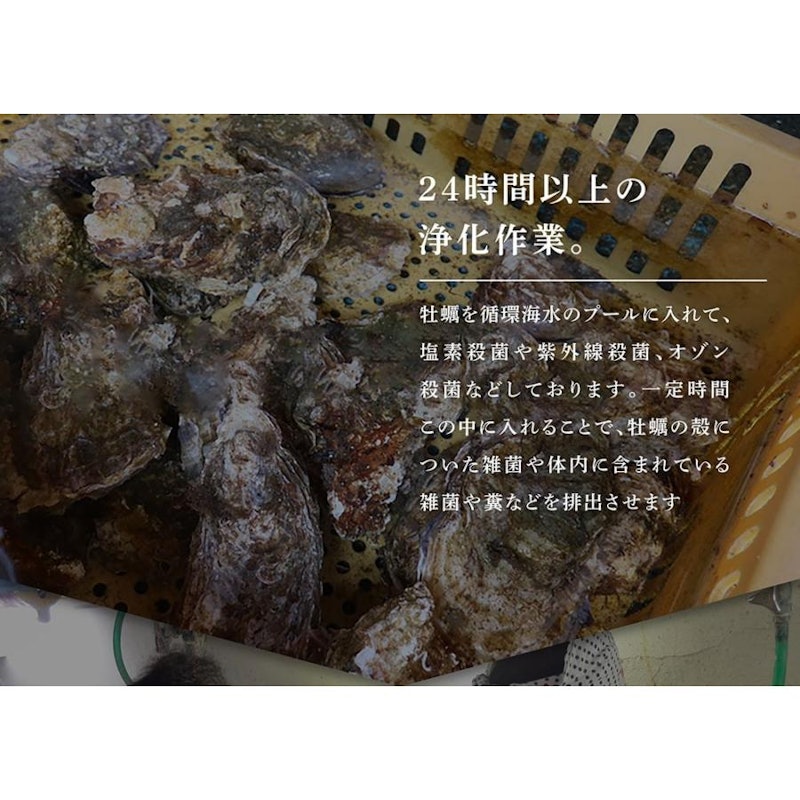 殻つき生牡蠣 9