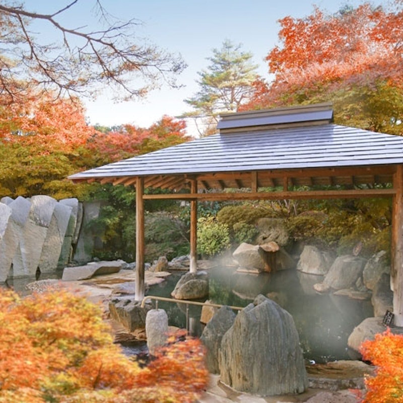 仙台・秋保温泉 篝火の湯 緑水亭 5