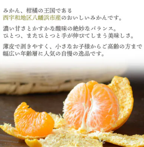 愛媛みかん 2