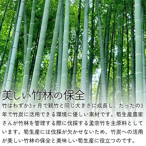 国産竹炭100％熟睡ピロー 6