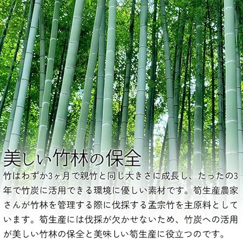 国産竹炭100%熟睡ピロー 6