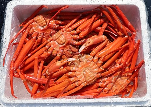 境港産紅がにA級品・B級品混合セット 2
