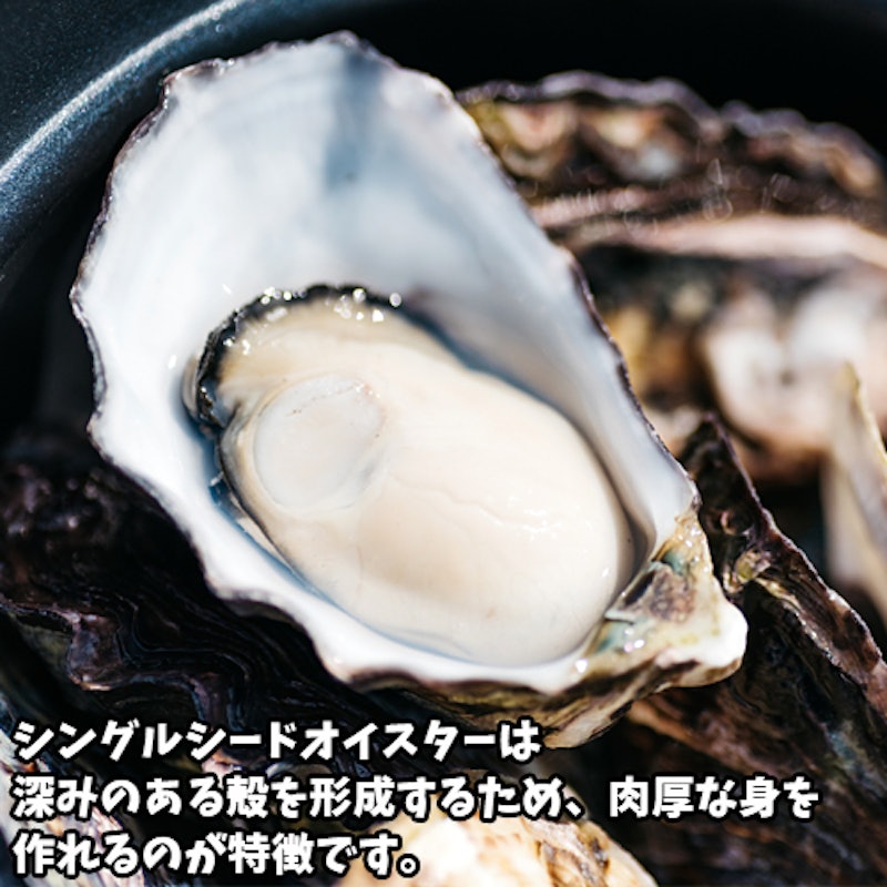 ひがた美人 オリーブオイル漬け 4