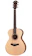 山野楽器 Taylor Academy Series A12e 1