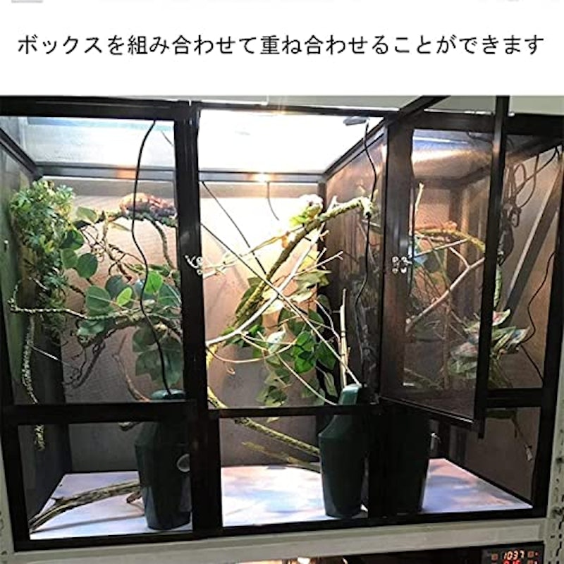 飼育ケース 5