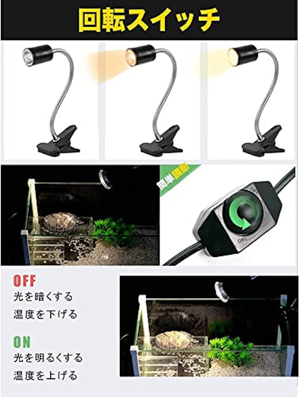 爬虫類ライト 2
