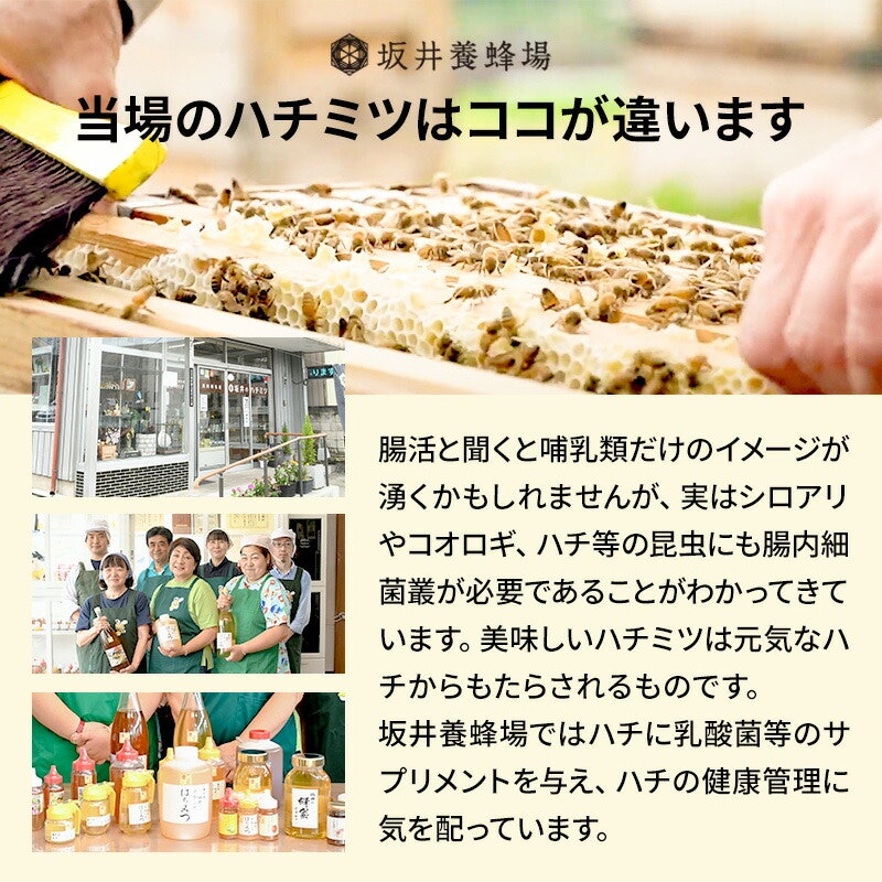 奥利根坂井の蜂蜜ギフト 6