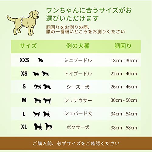 犬用おむつ 6
