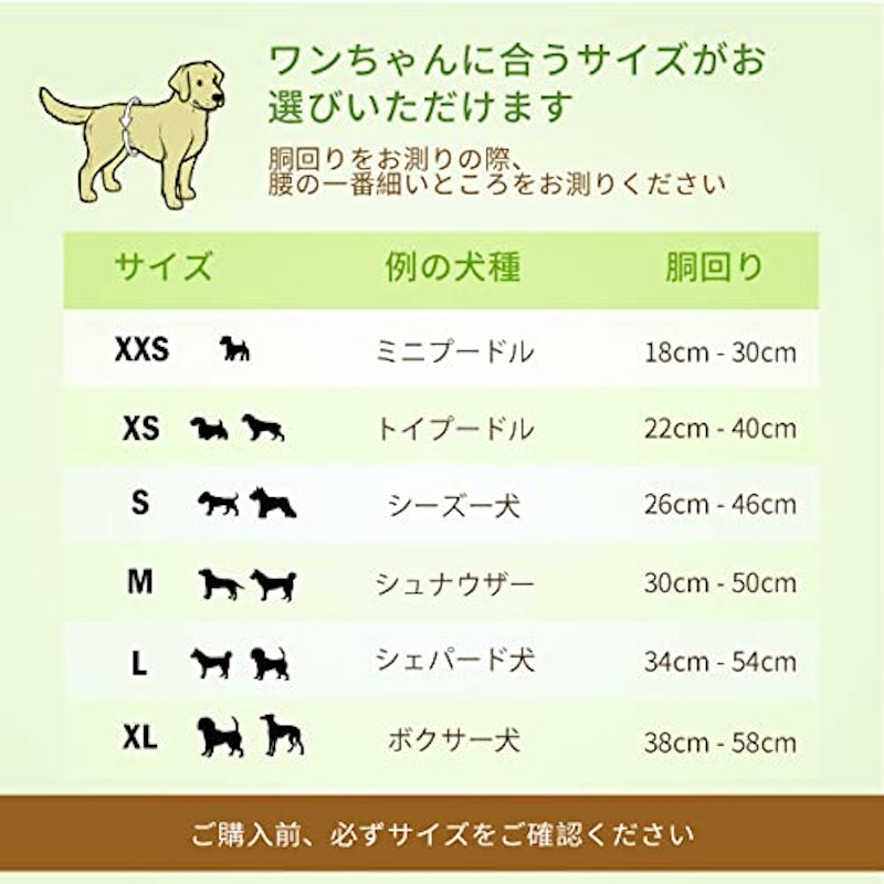 犬用おむつ 6