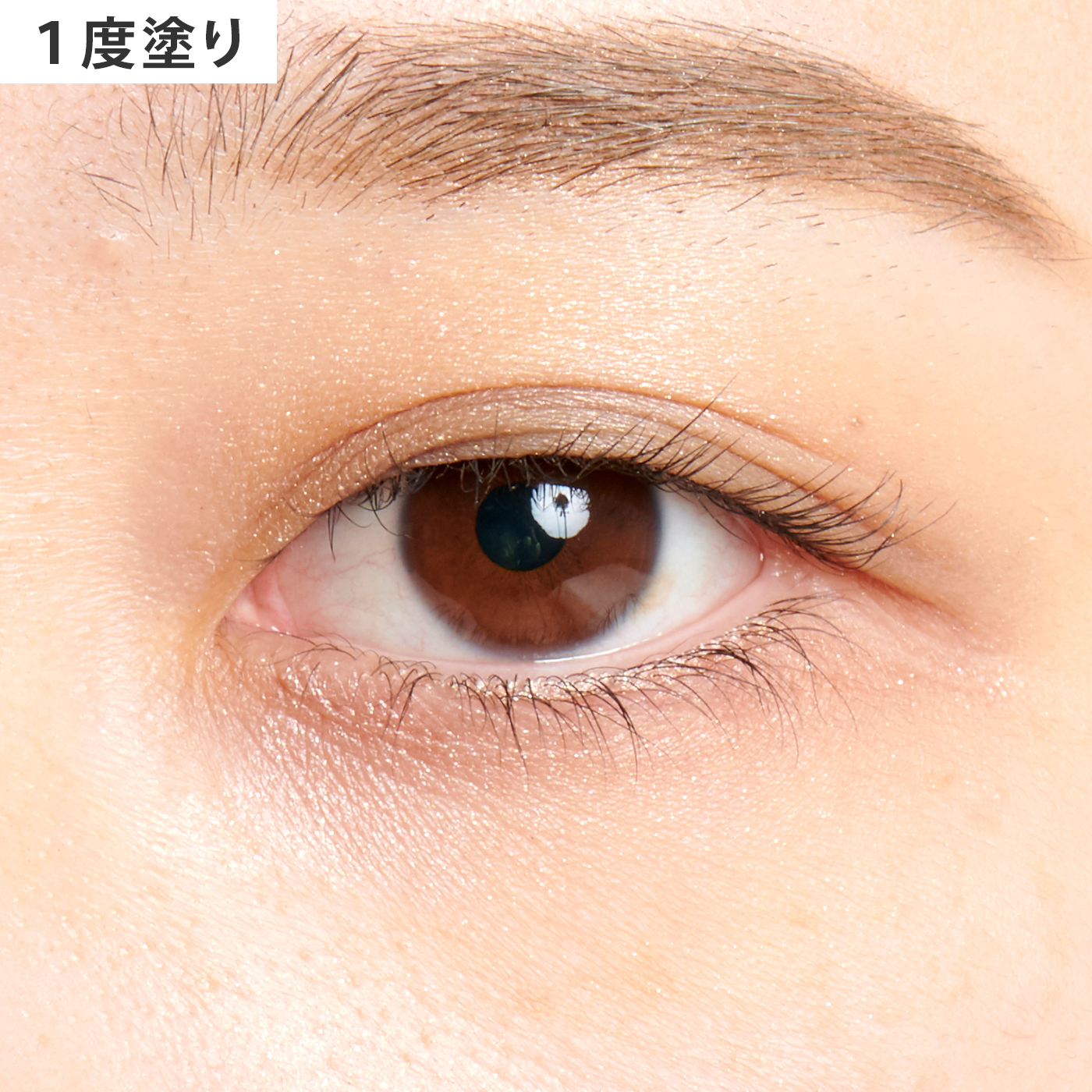 ブラシひと塗りシャドウN 4