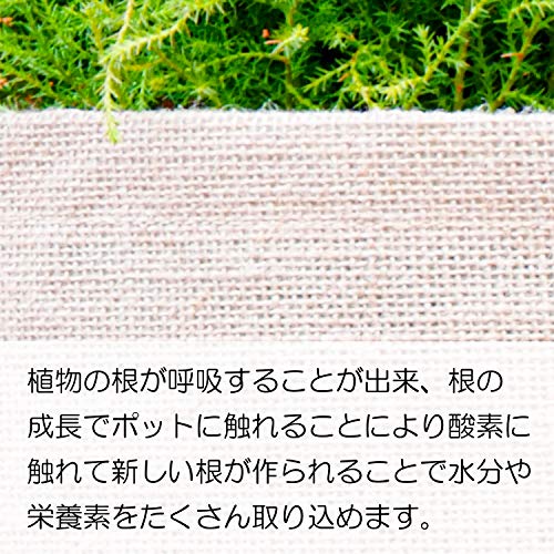 ジュートプランター 5