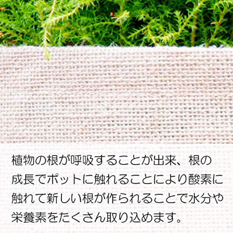 ジュートプランター 5