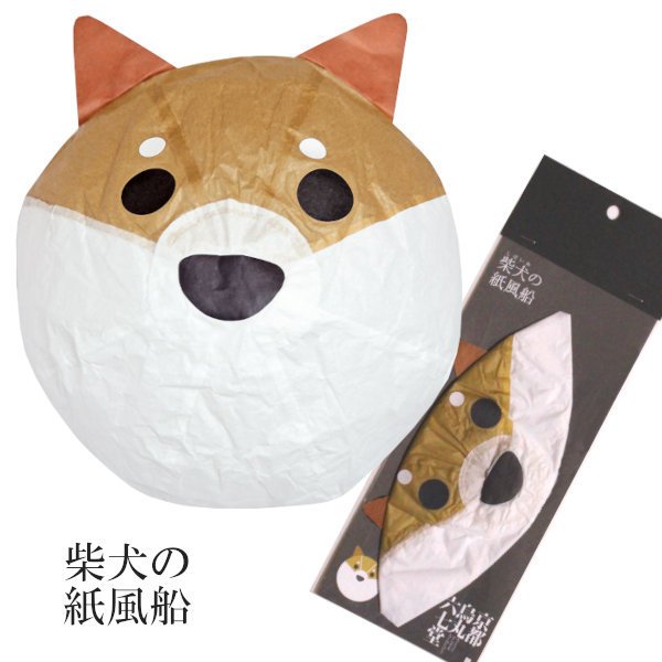 柴犬 1