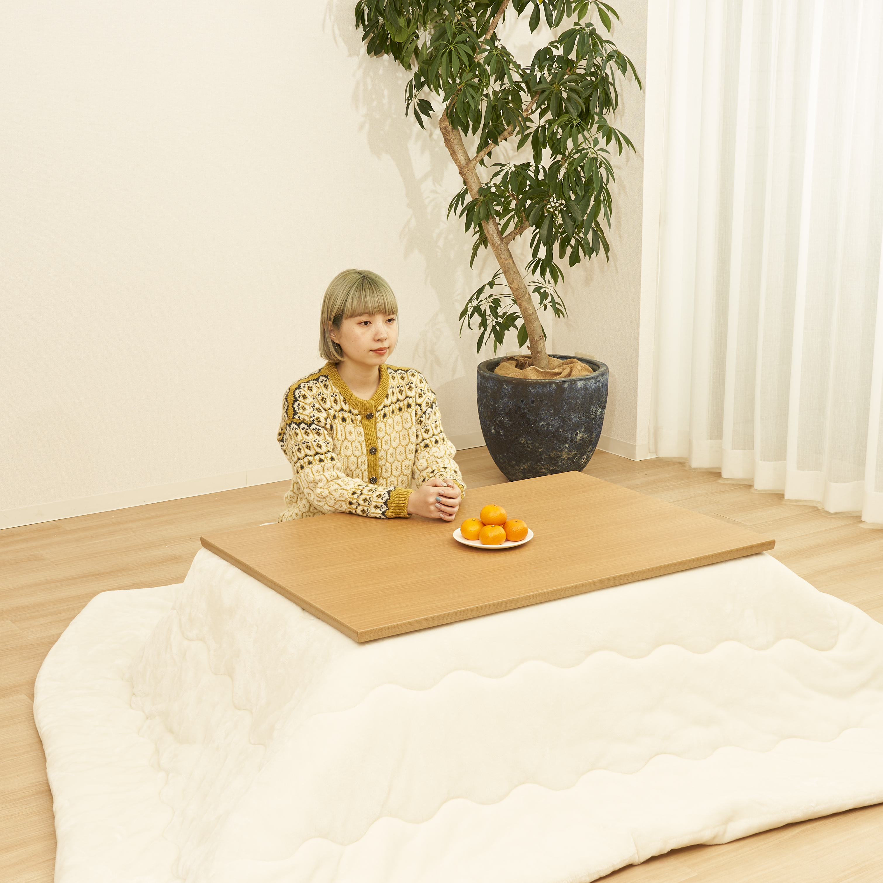 フラットヒーターコタツ 9
