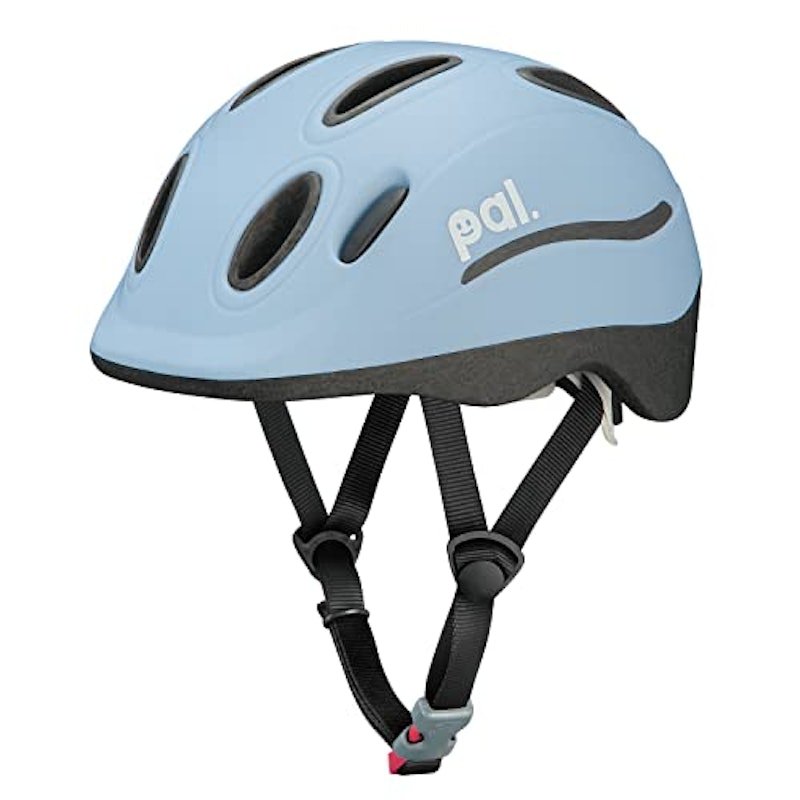 PAL 1