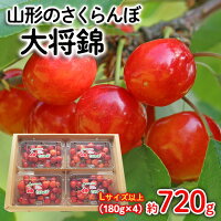 さくらんぼのふるさと納税返礼品のおすすめ人気ランキング【2026年8月】 5