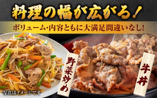 佐賀県産 黒毛和牛 切り落とし 2