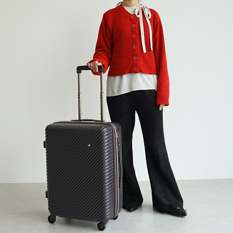 HaNT×Jewelna Roseコラボトローリー スーツケース 13