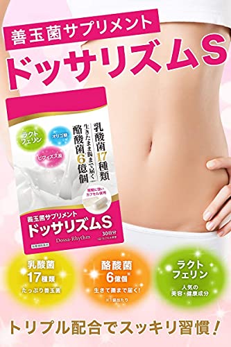 善玉菌サプリメント ドッサリズムS 2