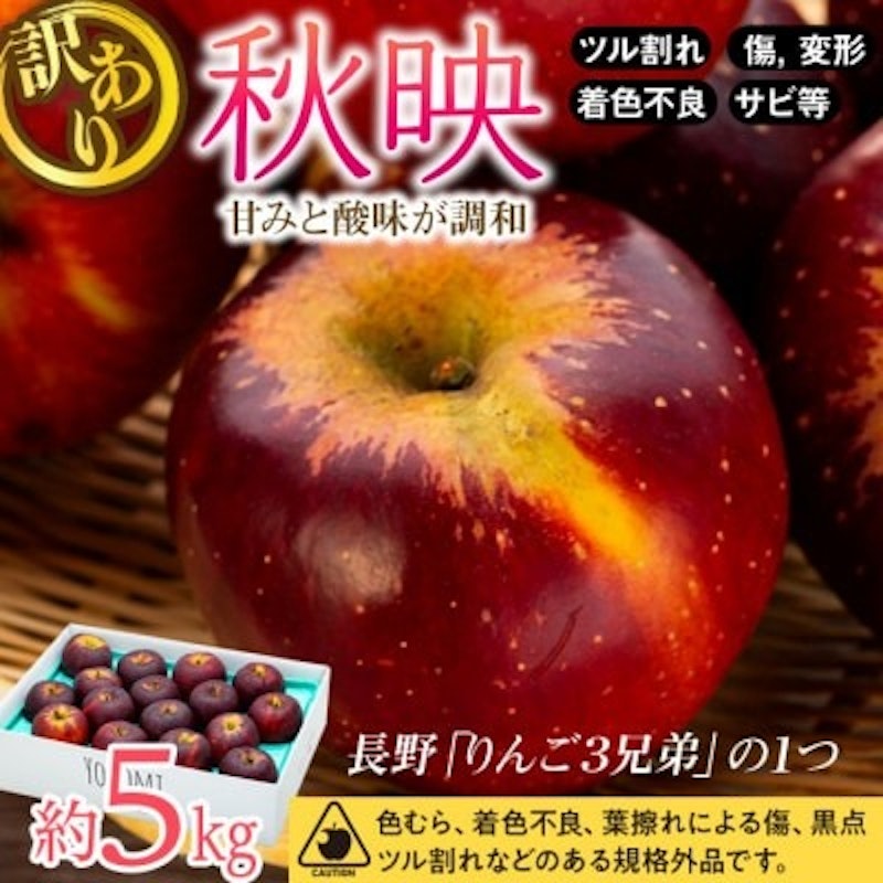 訳あり 信州のりんご 秋映 1