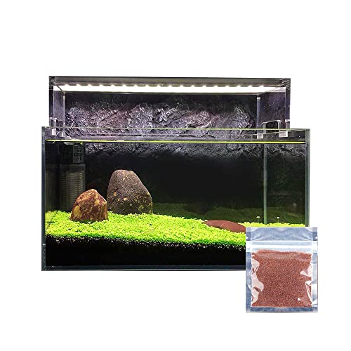 23年 水草のおすすめ人気ランキング67選 Mybest