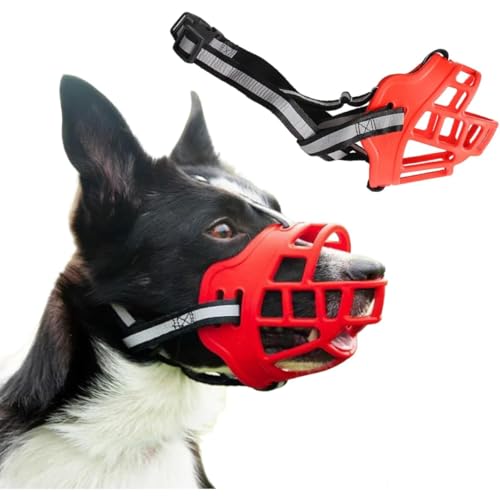 犬用口輪 1