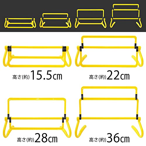 トレーニングラダー 4