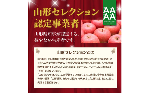 特別栽培 訳あり 家庭用サンふじ 鈴木果樹園 3