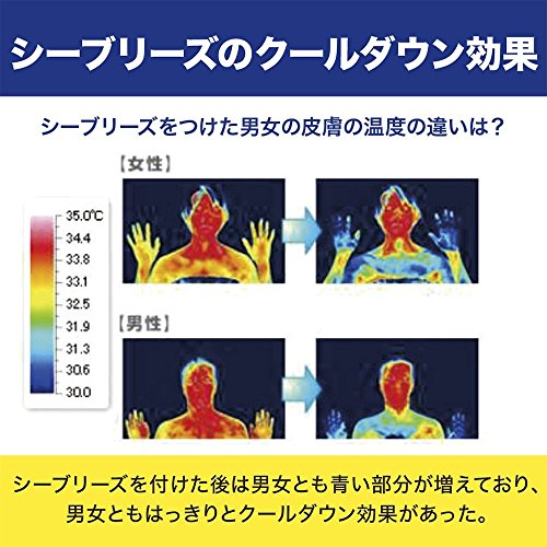 アンティセプティック 全身薬用ローション 4