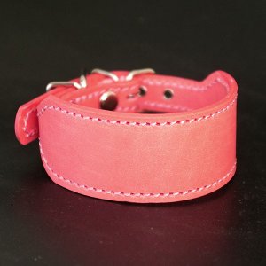 イタグレミニピン用革首輪 2