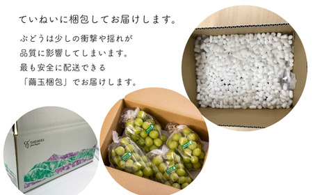 シャインマスカット 約2kg 4