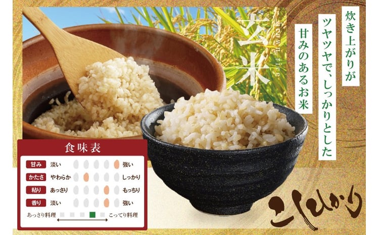 取手市産コシヒカリ 玄米 5