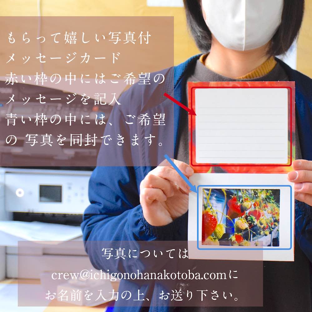 雪国完熟いちご越後姫桃薫食べ比べセット 17